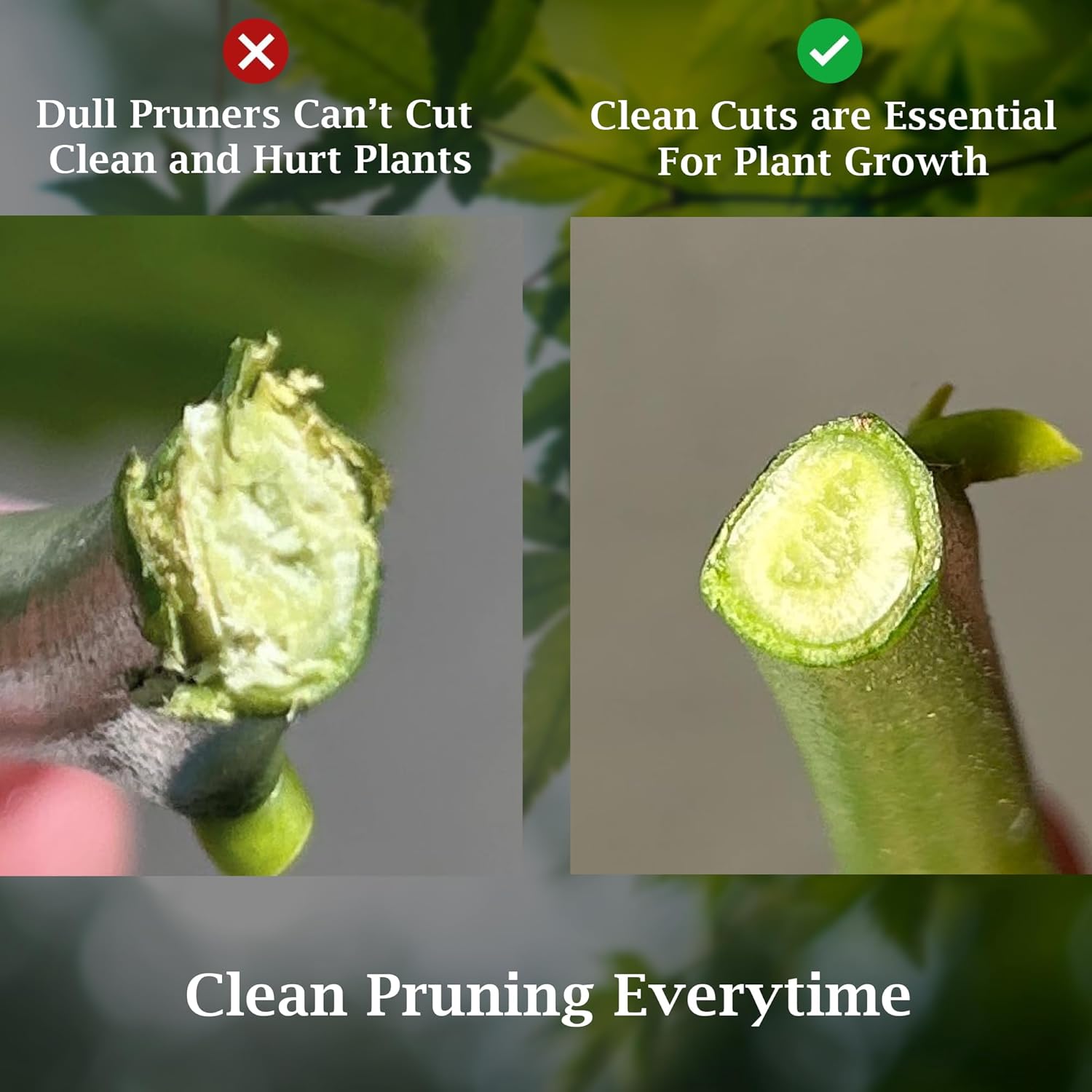 GARDEN GURU Bypass Pruner Elite - High Carbon Steel Bypass Hand Pruner Pruning Shears Scissors Clippers - Comfort Grip Handles - Perfect for Gardening Trimming Pruning (4 Pack)