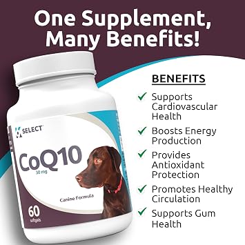 CoQ10 Supplement for Dogs, 30mg - 60 Soft Gels per Bottle - Pet Supplement, Nutritional Softgels for Canine Heart Health, Cardiovascular & Gum Health, Energy