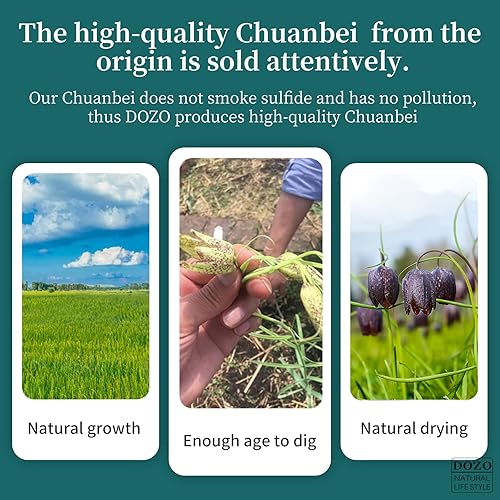 Miniatura 2 de DOZO Chuan Bei Mu Bulbus Fritillariae Cirrhosae 9.17oz260g Ingredientes de sopa de hierbas sueltas china