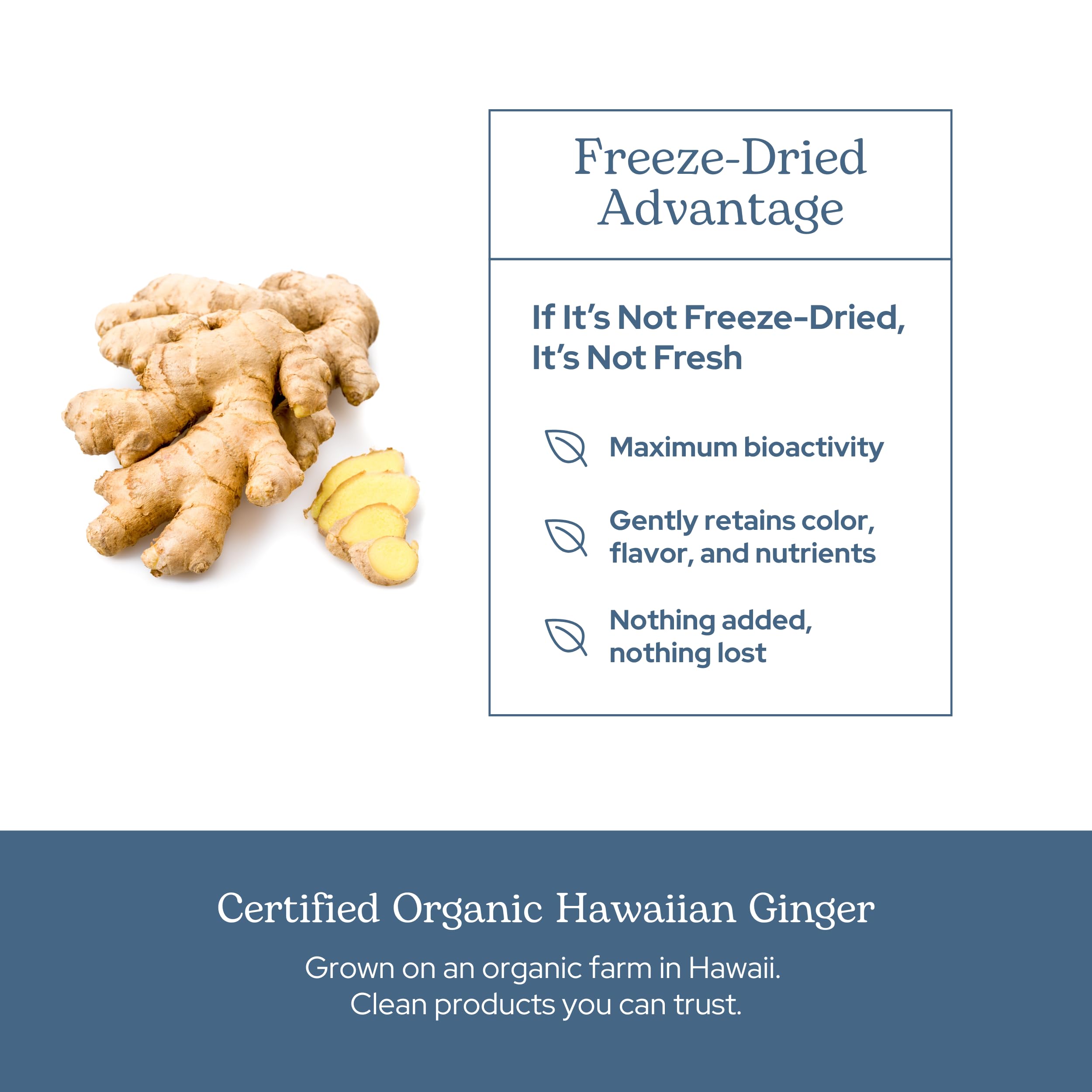 Amazon.com: Eclectic Herb - Organic Ginger Capsules | Antioxidants