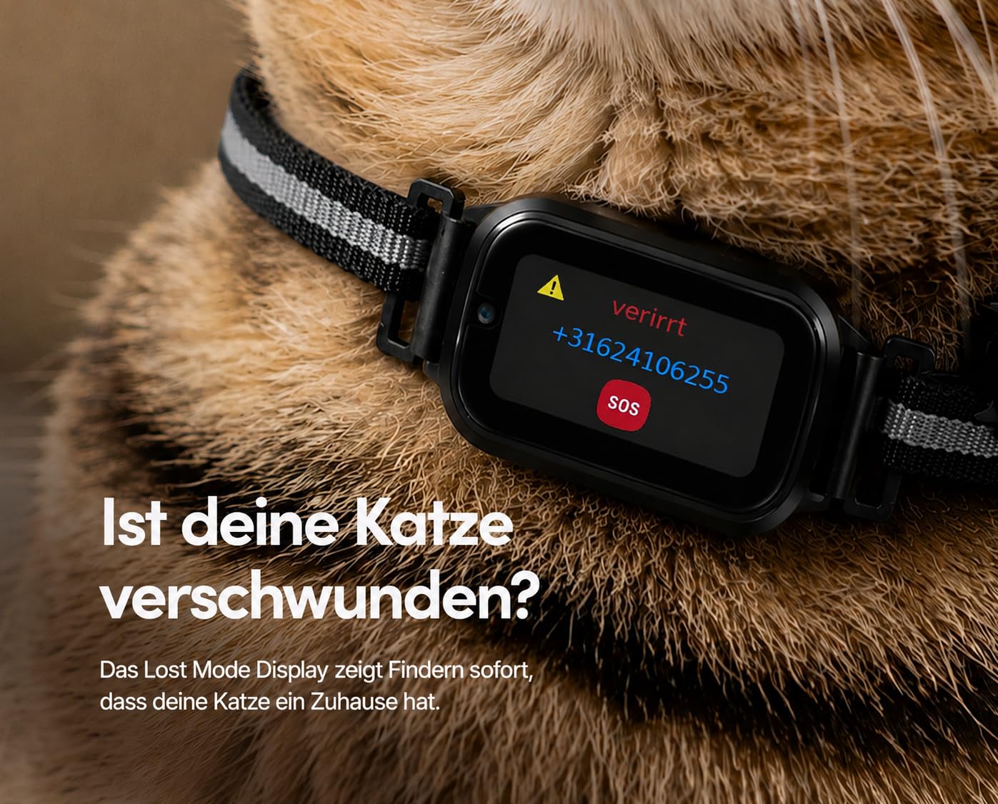 Spotter CatX - Localizzatore GPS per gatti con display, senza ABO