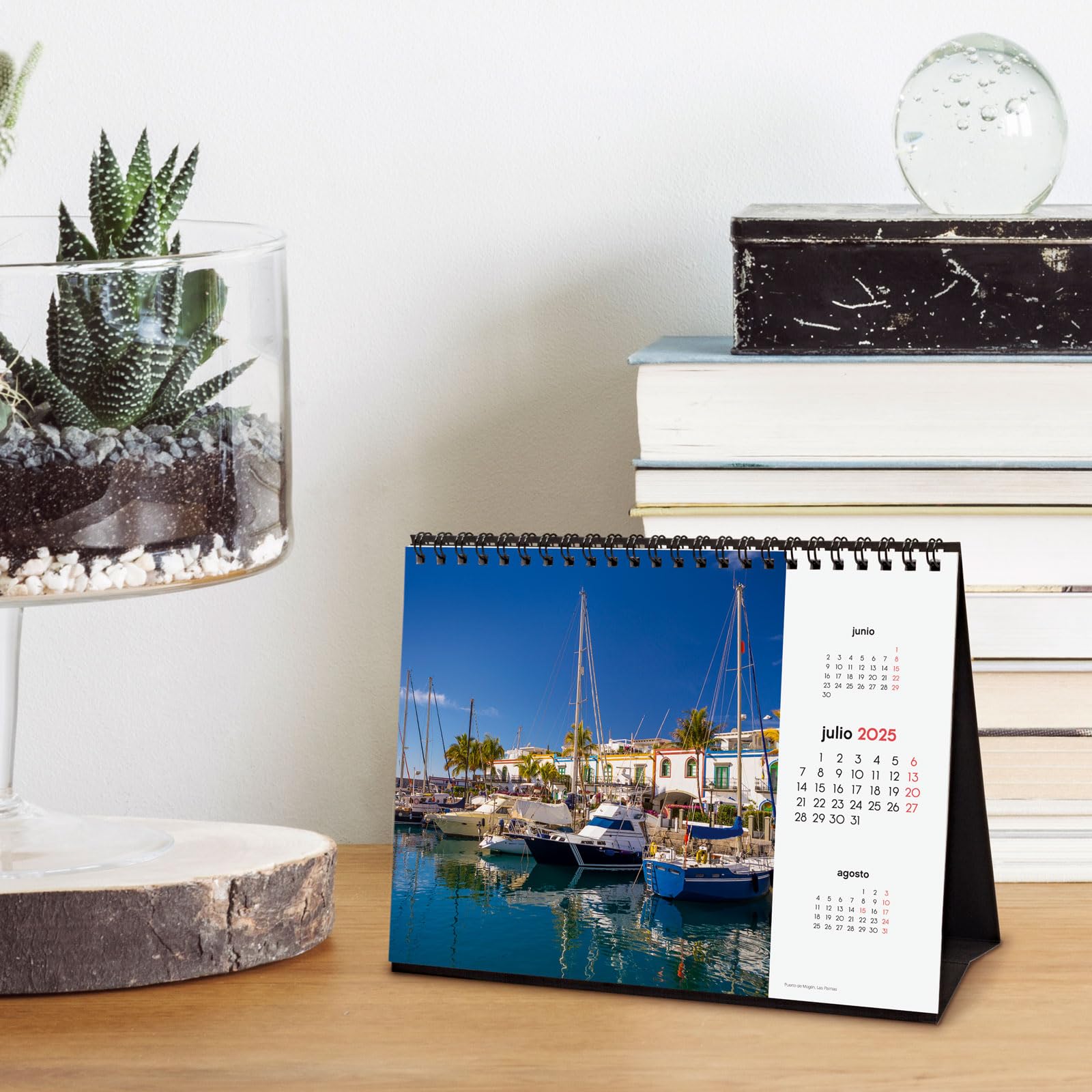 Magnetic Fridge Calendar Paper 2025 Finocam - Chic Desktop Calendar To Write 2025 Month View January... January Calendar 2025