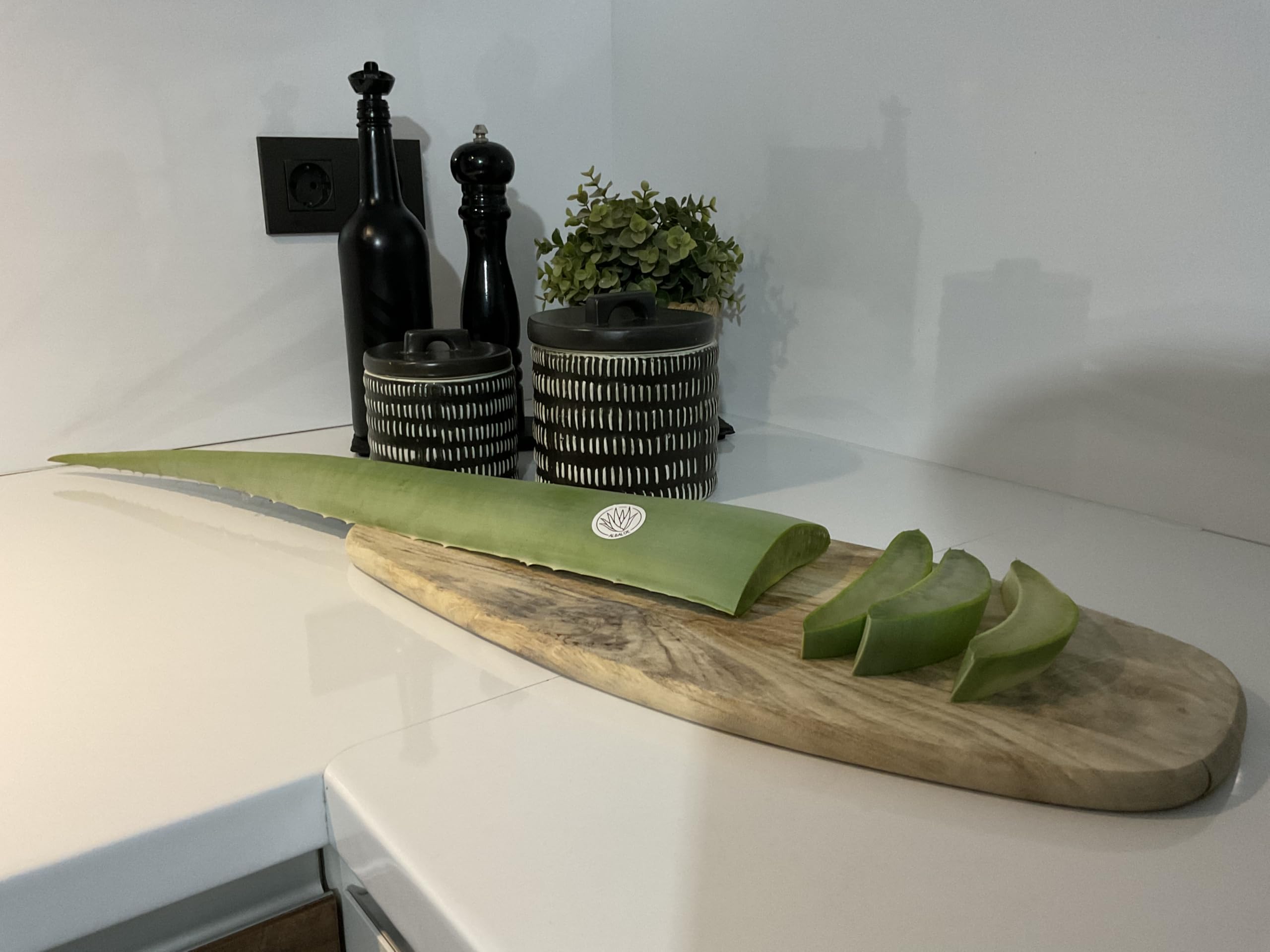 Hoja de Aloe Vera Fresca Natural Gel Ecologico certificado (3)