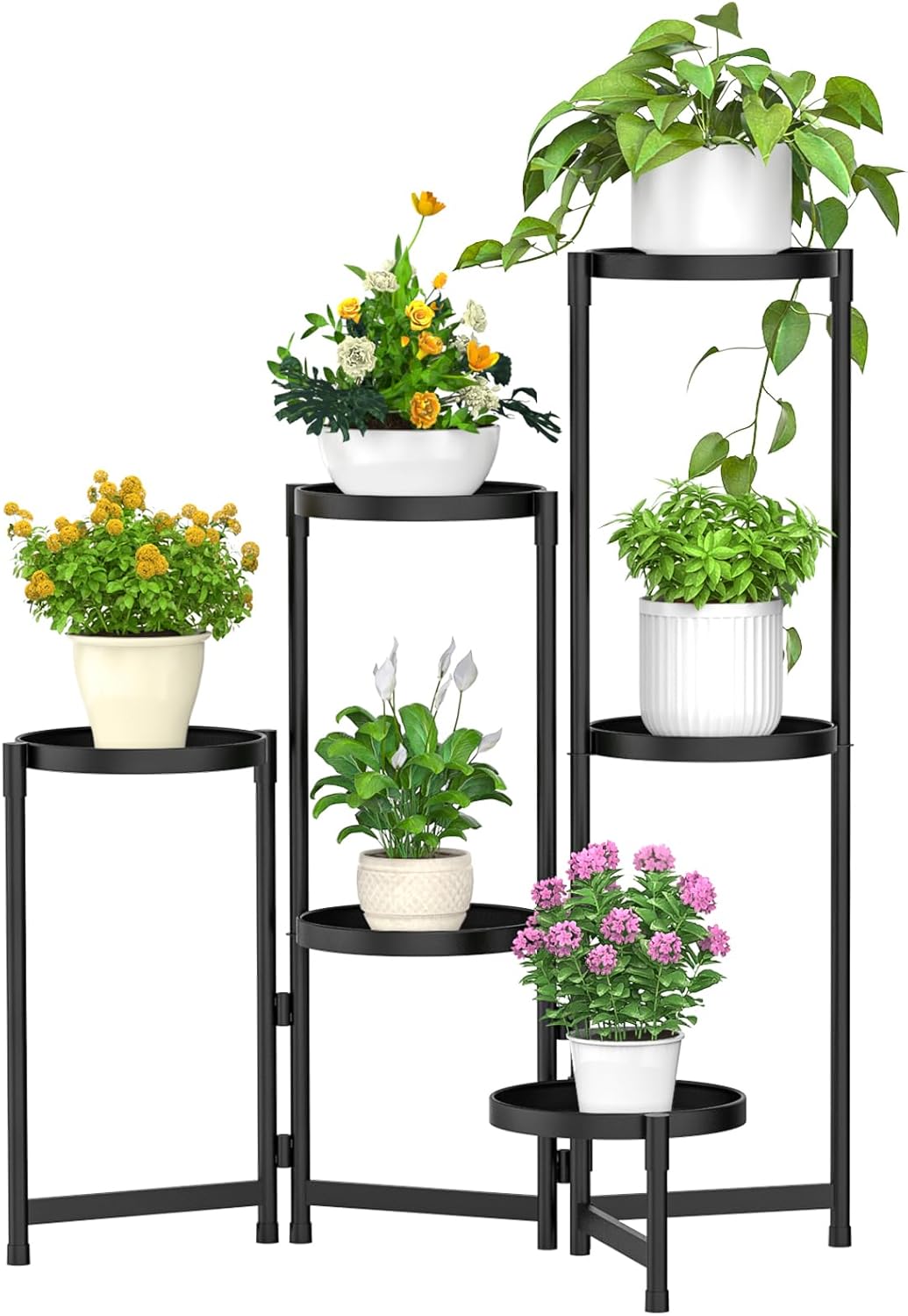 6-Tier