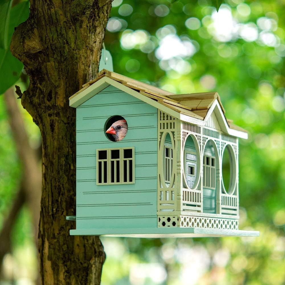 Modern Home Outdoor Wooden Birdhouse - Savannah Cottage : Patio, Lawn & Garden