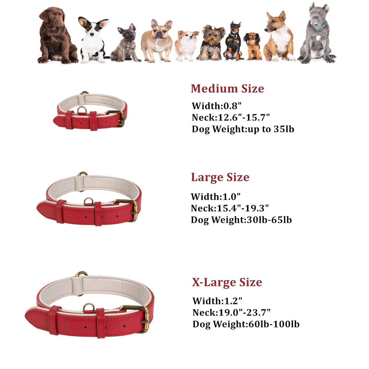 Echtleder-Hundehalsband Von Coohom – Wasserdicht, Gepolstert, Größe M (32-40 Cm Halsumfang)