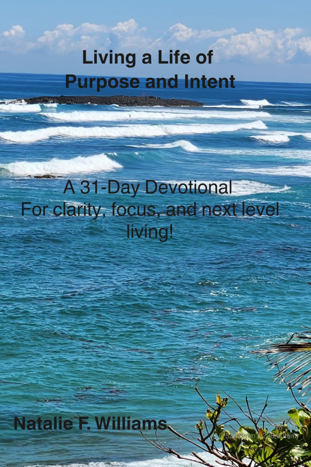 Living a Life of Purpose and Intent: A 31-Day Devotional For clarity, focus, and next level living!