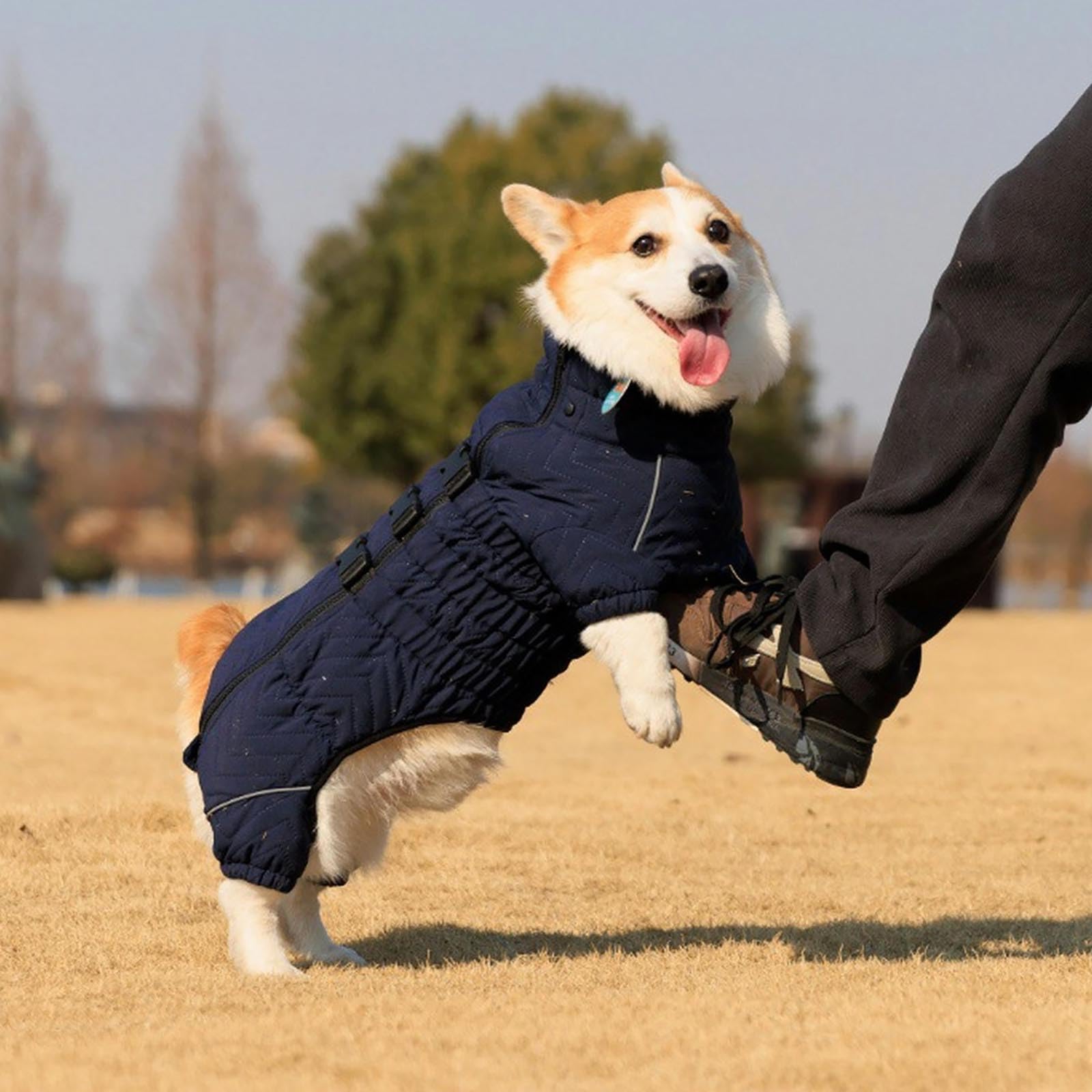 Abrigo de Nieve para Perros, Ropa de Invierno para Cachorros, Chaqueta Polar Impermeable para Perros, Traje de Nieve cálido para Perros pequeños, medianos y Grandes
