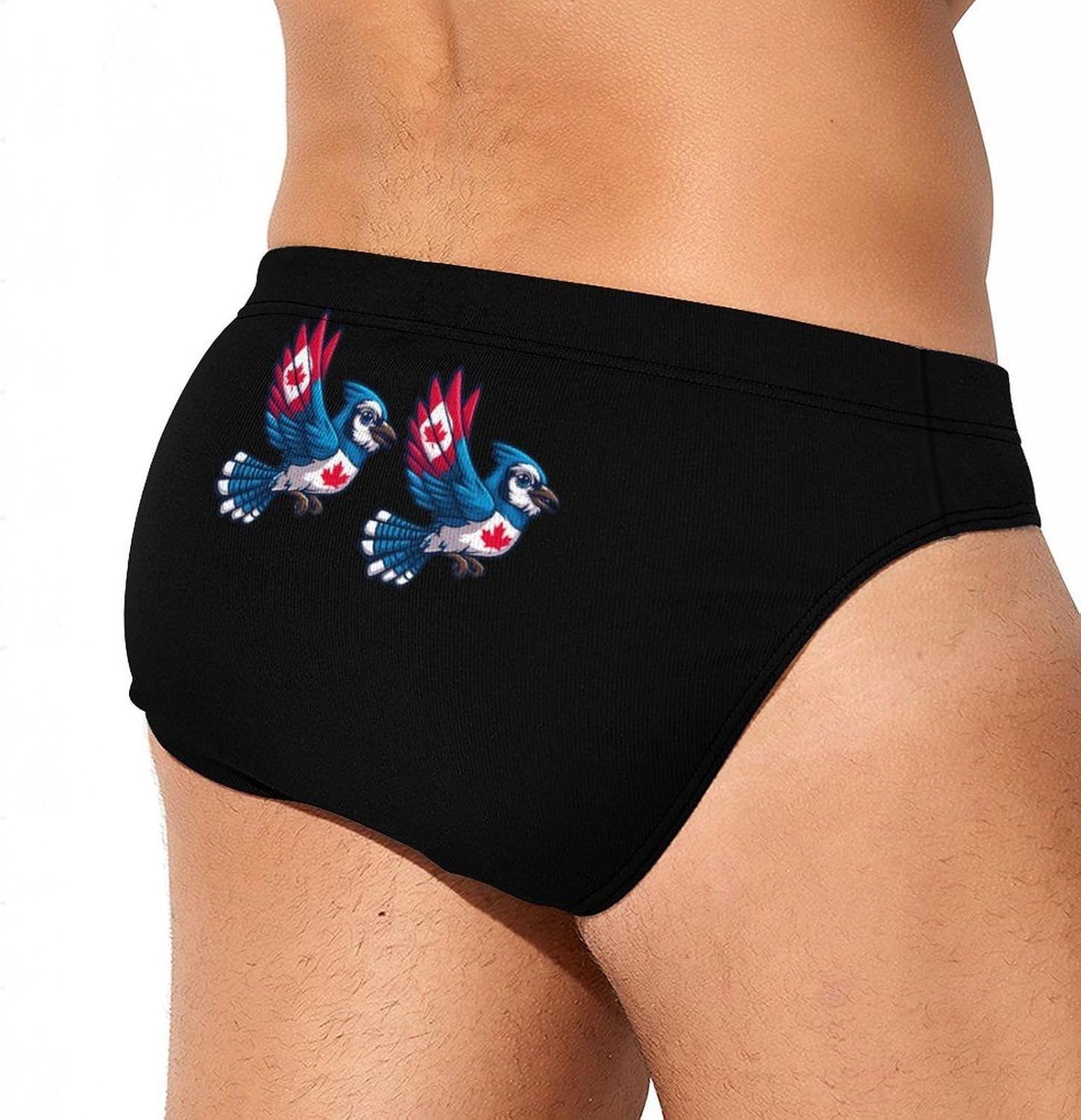 Canadian-Jay-Bluebird Men's Swimsuit Brief Sexy Bikini Briefs Retro Printed Swimwear Quick Dry Swimming Trunks 3X-Large