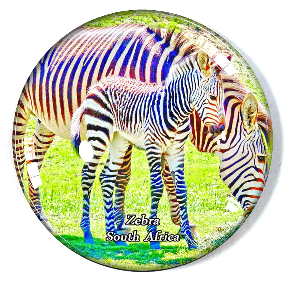 Zebra South Africa Fridge Magnet Refrigerator Freezer Magnet Souvenir Decoration Magnet Sticker Glass Crafts