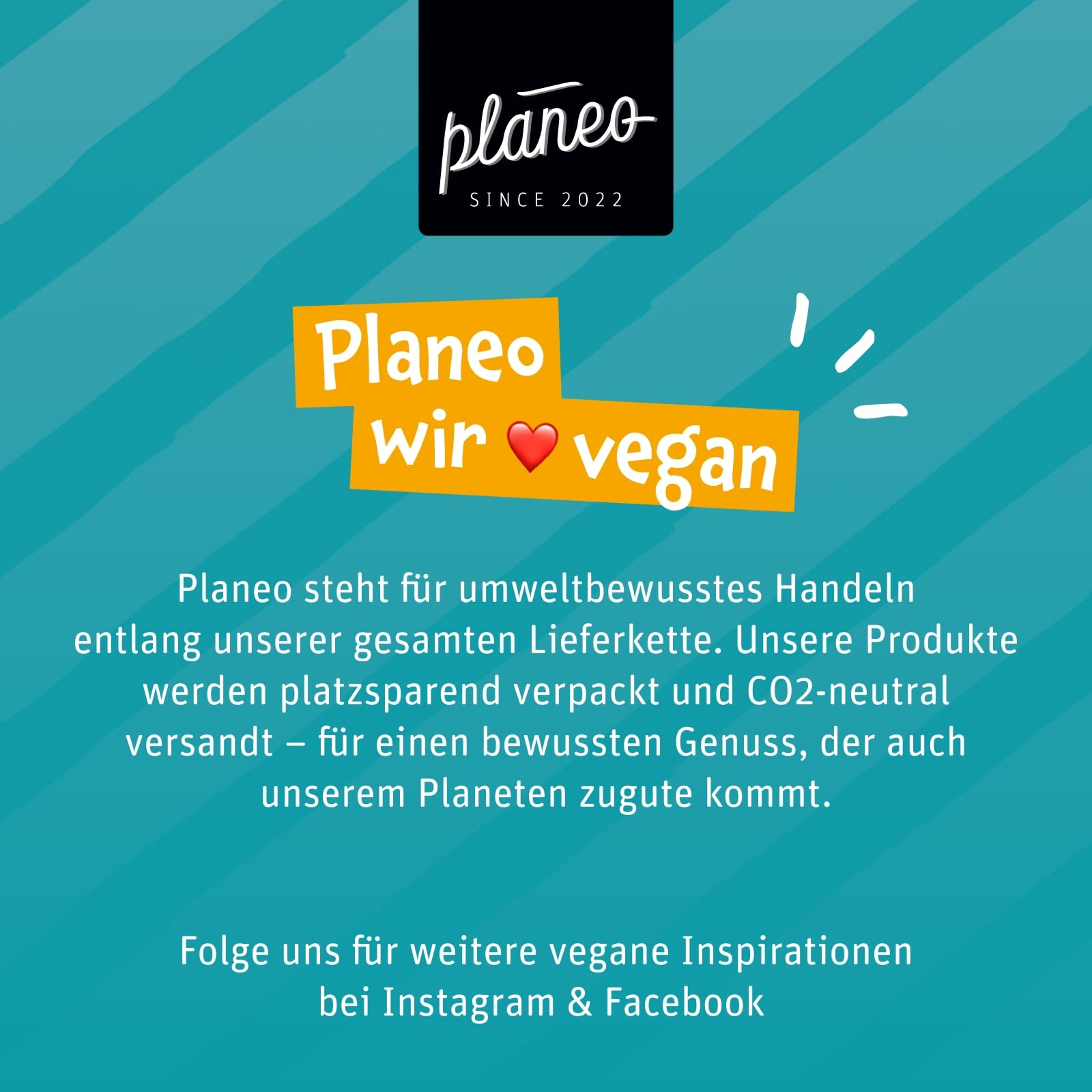 Planeo Bio Erbsen Medaillons 600g - Vegane Fleischalternative aus Erbsen und Ackerbohnen, Hoher Proteingehalt