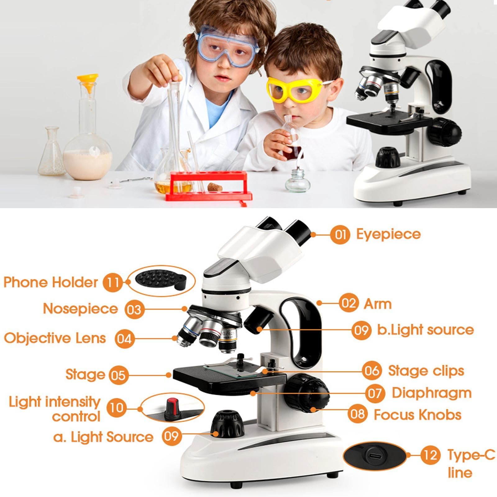 Microscopio Composto Binoculare 40x-2000x, Kit Microscopio da Laboratorio Doppio LED, Oculare WF 10x E 25x/Adattatore per Telefono/Tavola Meccanica, per Studenti, Bambini E Adulti,White