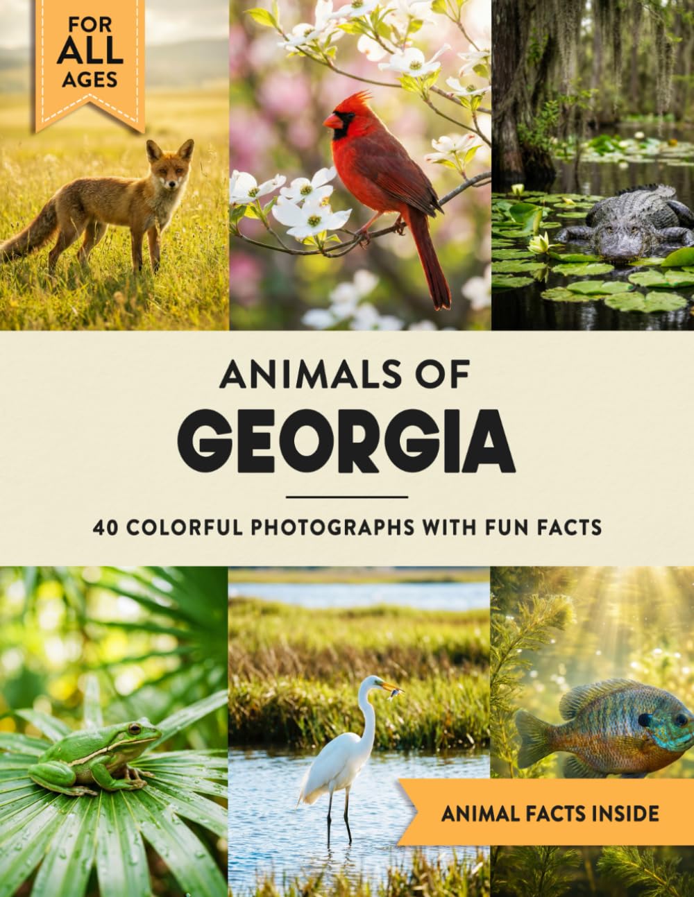 Animals of Georgia: Learn All About Peach State Wildlife in a Fun Fact Picture Book for Kids and Adults