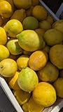 5 Pound Organic Lemons Freshly Harvested Temecula CA Non-GMO Unsprayed unwaxed