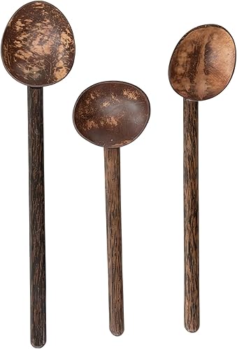 Cuchara de cáscara de coco con mango de madera de mango, juego de 3 estilos