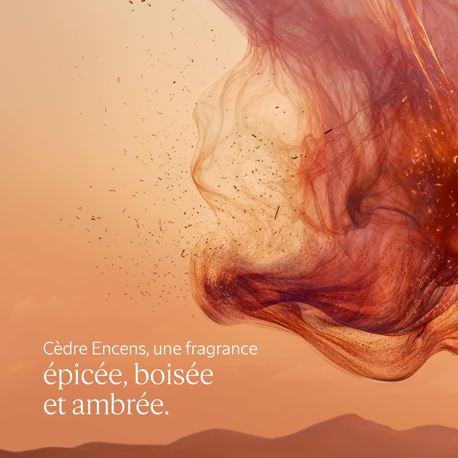 L'OCCITANE - Gel Douche Cèdre Encens (anciennement Eaux des Baux) - 250 ml - Notes épicées, boisées et ambrées - Fabriqué en France