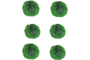 6 Live Fluval Moss Balls Fish Tank Aquarium Decorations Plants 1.2-1.8 inches, green