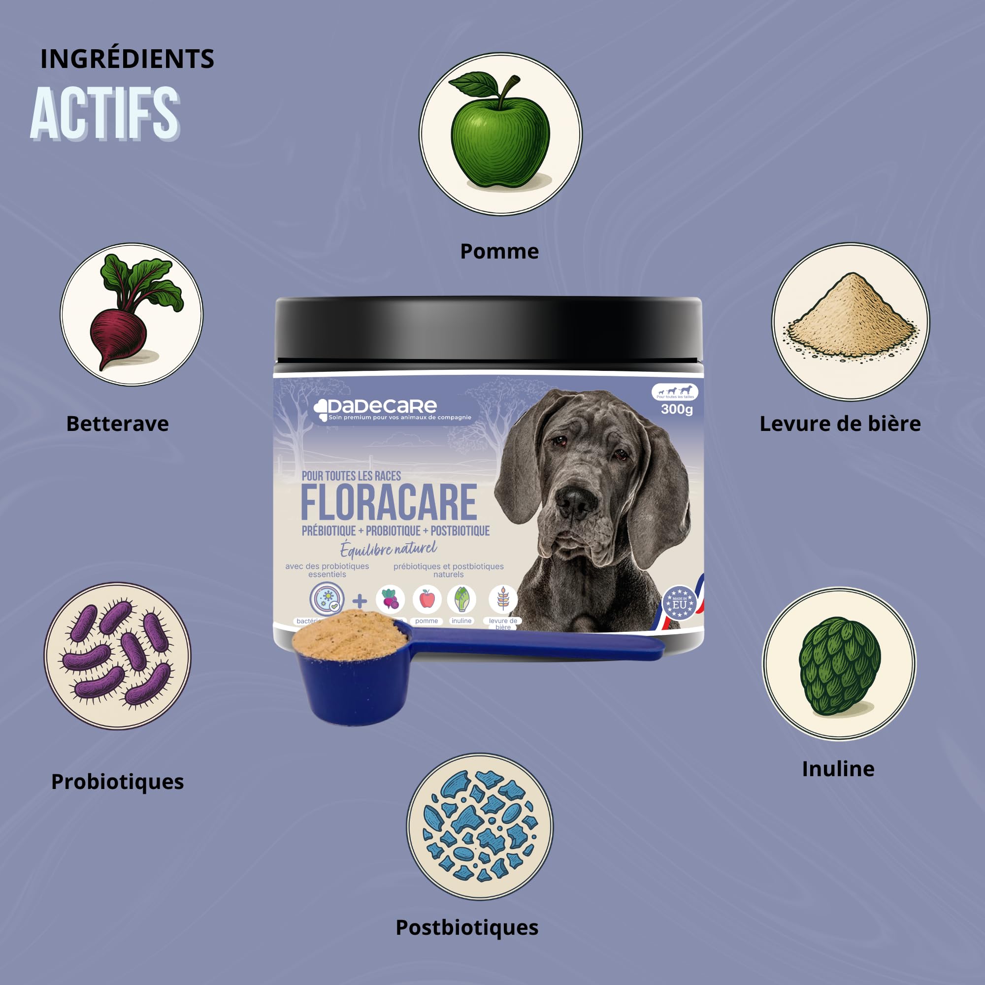 Floracare Probiotiques en poudre pour chiens 300 g – Répare la flore intestinale et améliore la digestion – Réduit les diarrhées et le stress – Idéal après traitements ou changement de nourriture avec