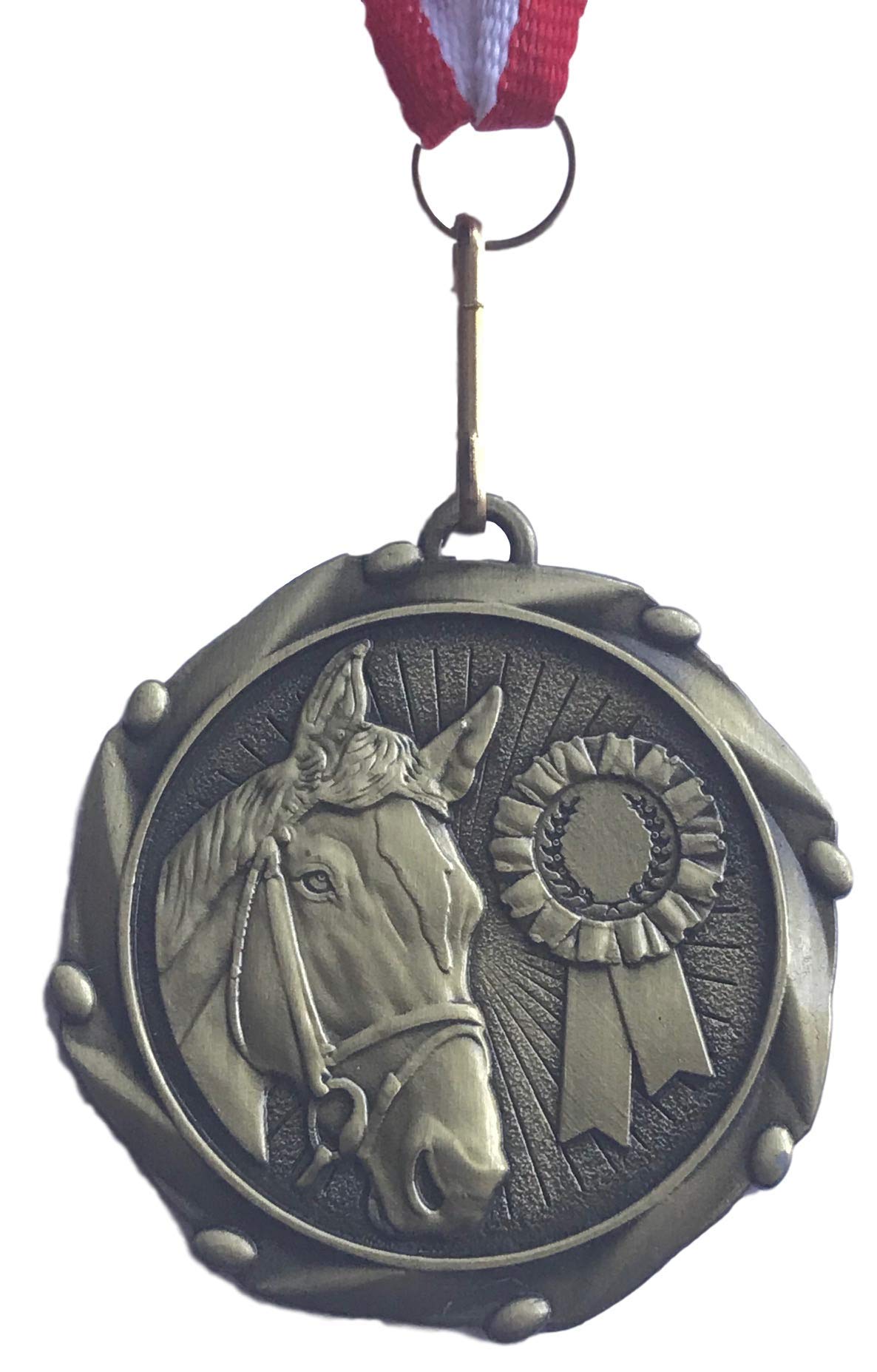 Emblems-Gifts Personalized Horse Equestrian Award Medal complete with ribbon
