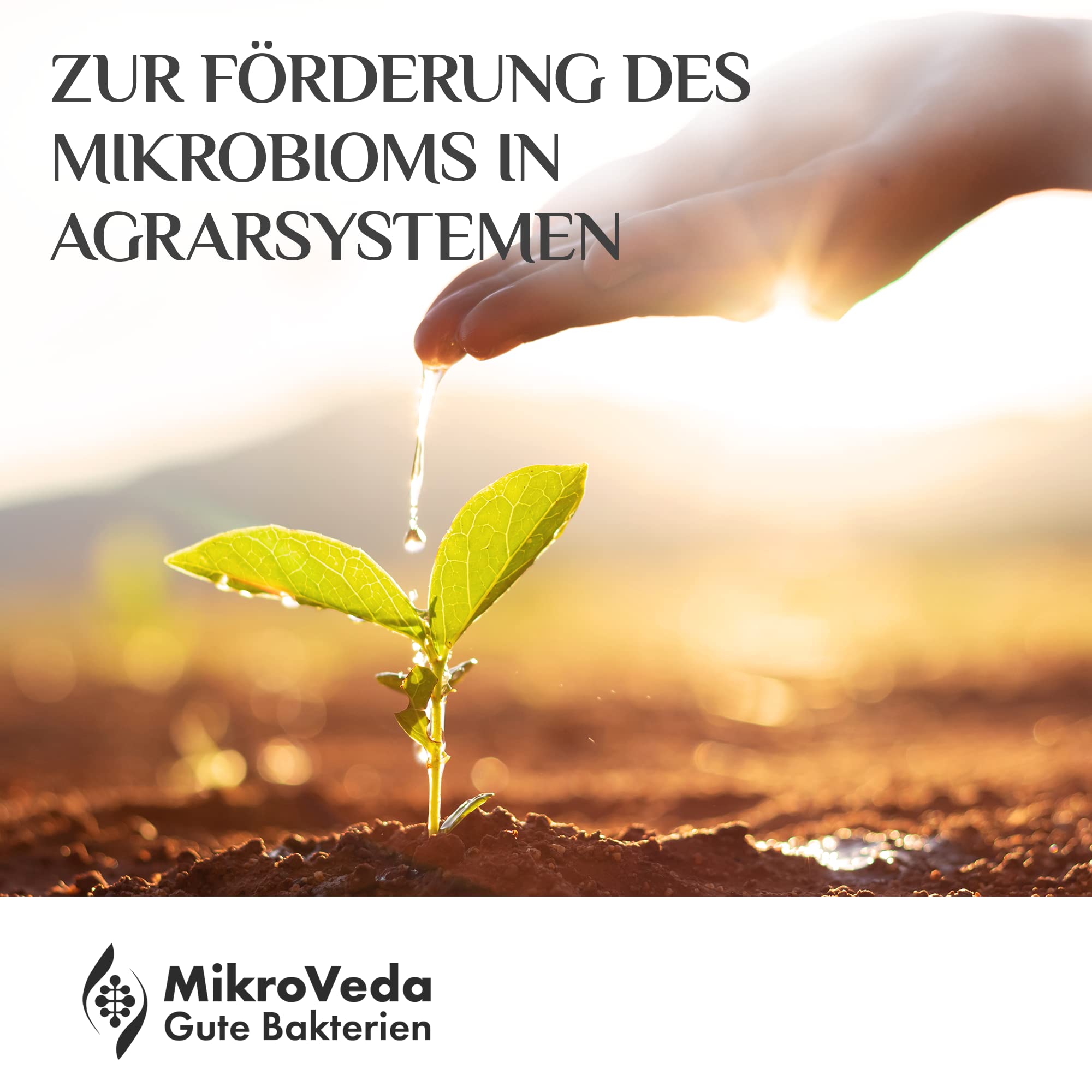 MikroVeda Solución madre orgánica - Microorganismos efectivos - 15 cepas - Activador y auxiliar del suelo - Compost - Estanques - Jardín - Agricultura