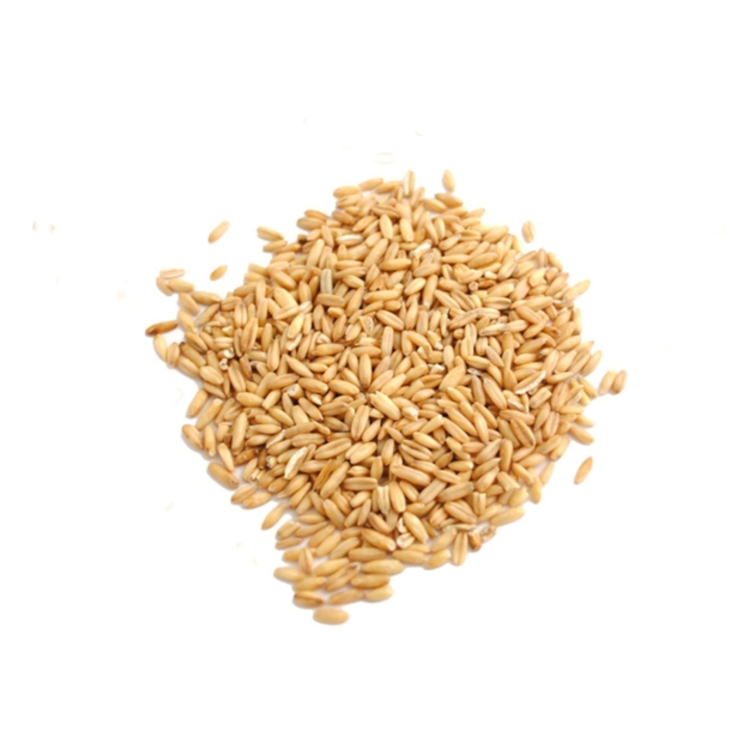 BONGIOVANNI FARINE E BONTA' NATURALI Avena Decorticata 5Kg BIO