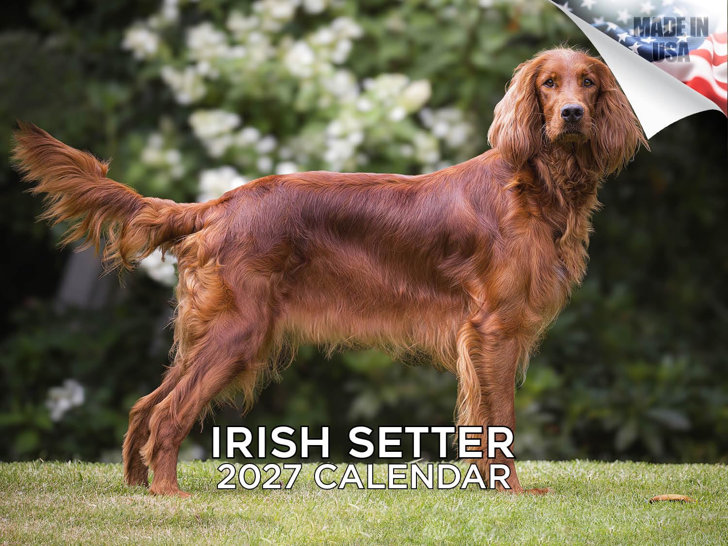 Calendrier mural mensuel 2025/2026 Setter irlandais – 30,5 x 45,7 cm ouvert – Papier épais sans bavure – Cadeau – Calendrier de planification et planification des enseignants – Fabriqué aux États-Unis