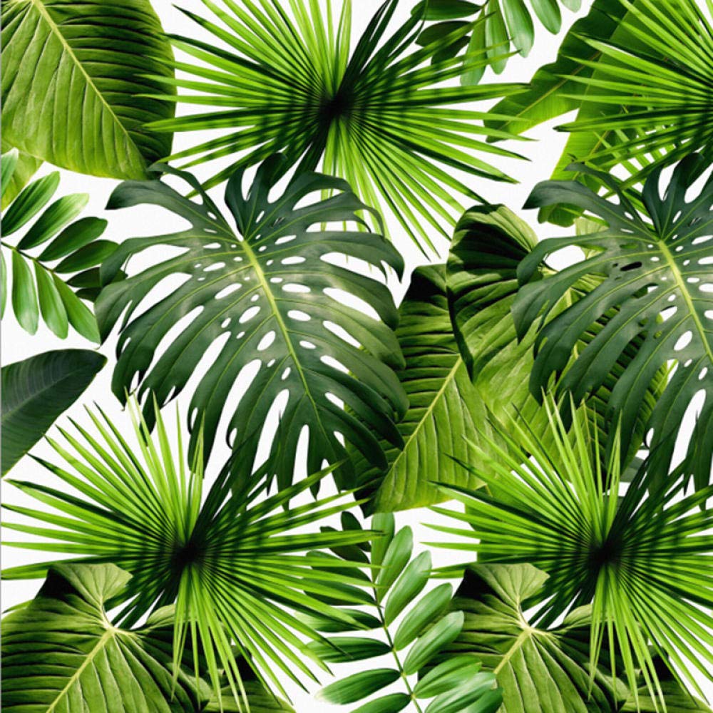 Moderna Foresta Pluviale Fresca Piante Foglie Di Banana Pastorale Murales Soggiorno Camera Da Letto Paesaggio 3D Sfondo Carta Da Parati Decorazioni Per La Casa 300Cm(W)×210Cm(H)