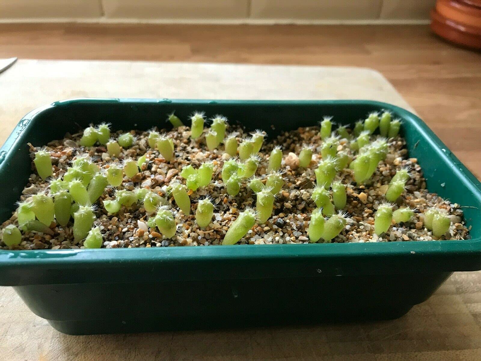 View 2