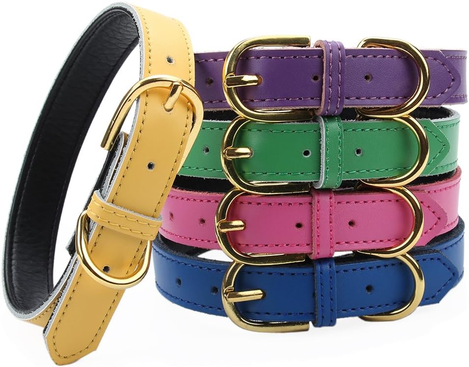 Aolove Basic Classic Padded Leather Pet Collars for Cats Puppy Small Medium Dogs