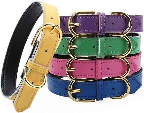 Aolove - Collares de cuero para mascotas, acolchados, para gatos, cachorros, perros pequeños y medianos, Azul marino