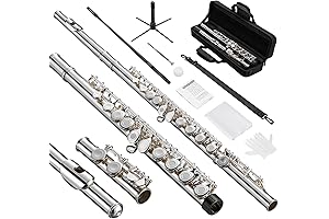 LUOTOS Open Hole C Flute Silver Plated 16 Keys Flute Instrument for...