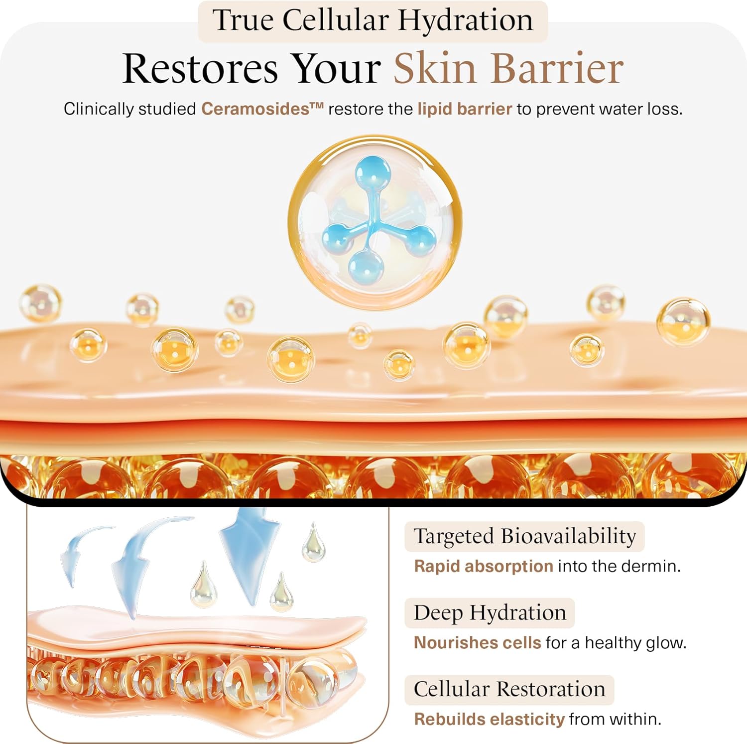 momentM Revitalize Skin Hydration Supplement, Vegan Collagen Alternative with Ceramosides & Astaxanthin - Hyaluronic Acid Supplements for Anti-Aging, Wrinkles & Fine Lines, 60 Hyaluronic Acid Capsules