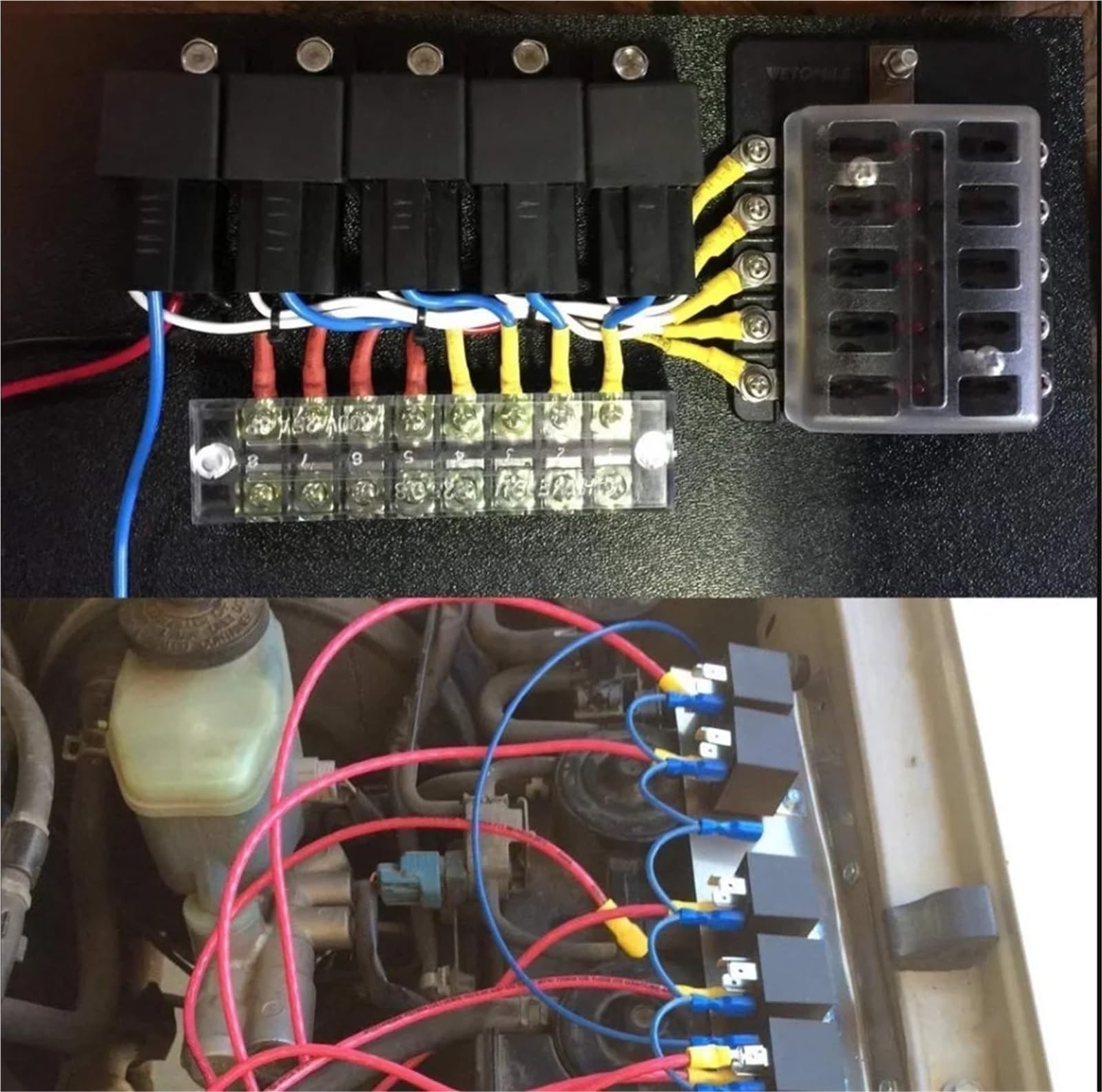 Terminales eléctricos Conector de Cable aislado, engarce eléctrico, juego horquilla con anillo a tope pala, terminales enrollados eléctricos, Kit surtido(1200PCS)