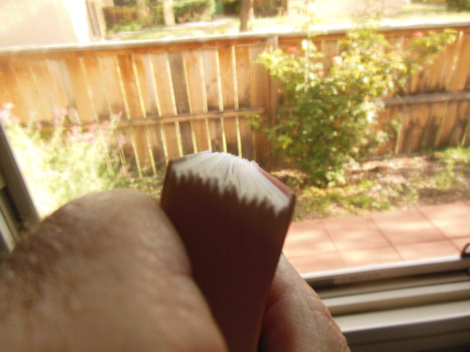 Great book, badly bound