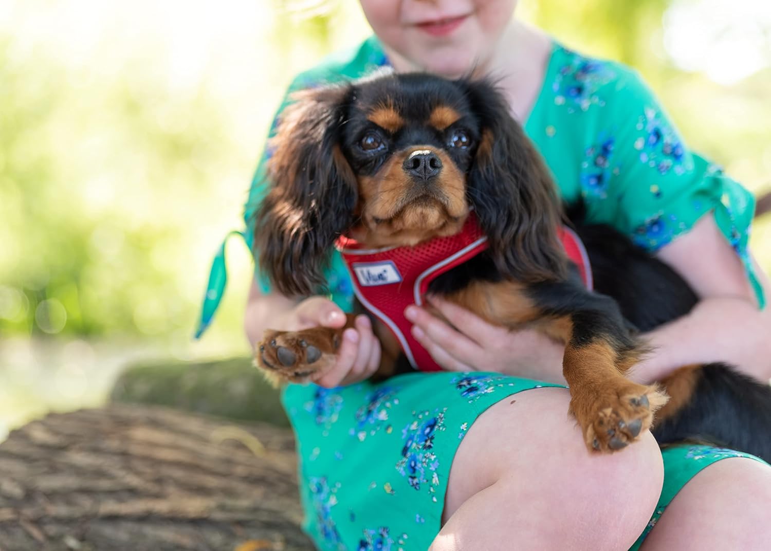 Ancol Simply Comfortable Padded Breathable Mesh Red Dog Harness Pet Training Accessory 44-57 cm, Medium 4 71107A+Ji S. AC SL1500