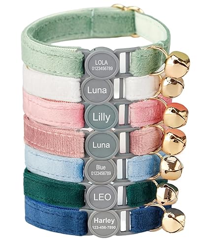 Personalized Breakaway Cat Collar - Velvet, Safety Buckle, Custom Name