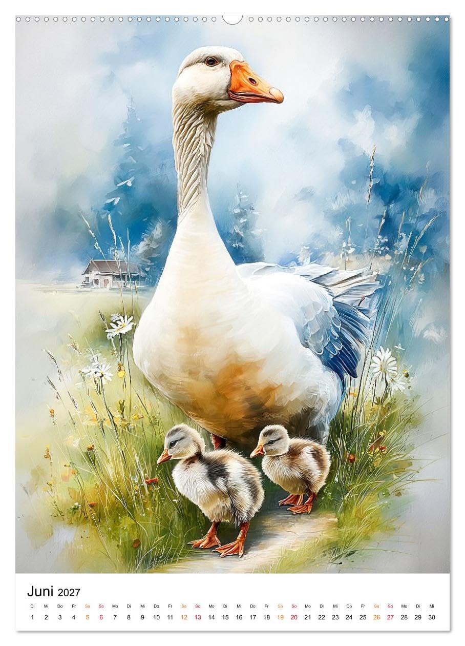 CALVENDO - Bauernhof Tiere (hochwertiger Premium Wandkalender 2027 DIN A2 hoch), Kunstdruck in Hochglanz: Ein Jahr voller Tier- und Landliebe.
