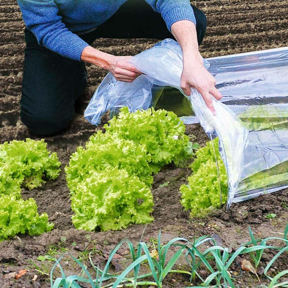 TERRE JARDIN - Tunnel de Forçage Accordéon Souple 4 m