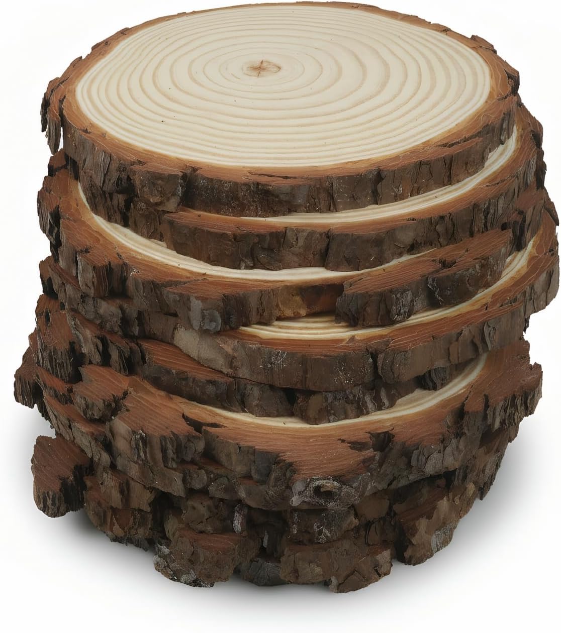 Natural Wood Slices, 5-6 Inch Round Unfinished Wooden Rounds, 10 Pack, for Wedding Centerpieces, DIY Crafts, Table Decor