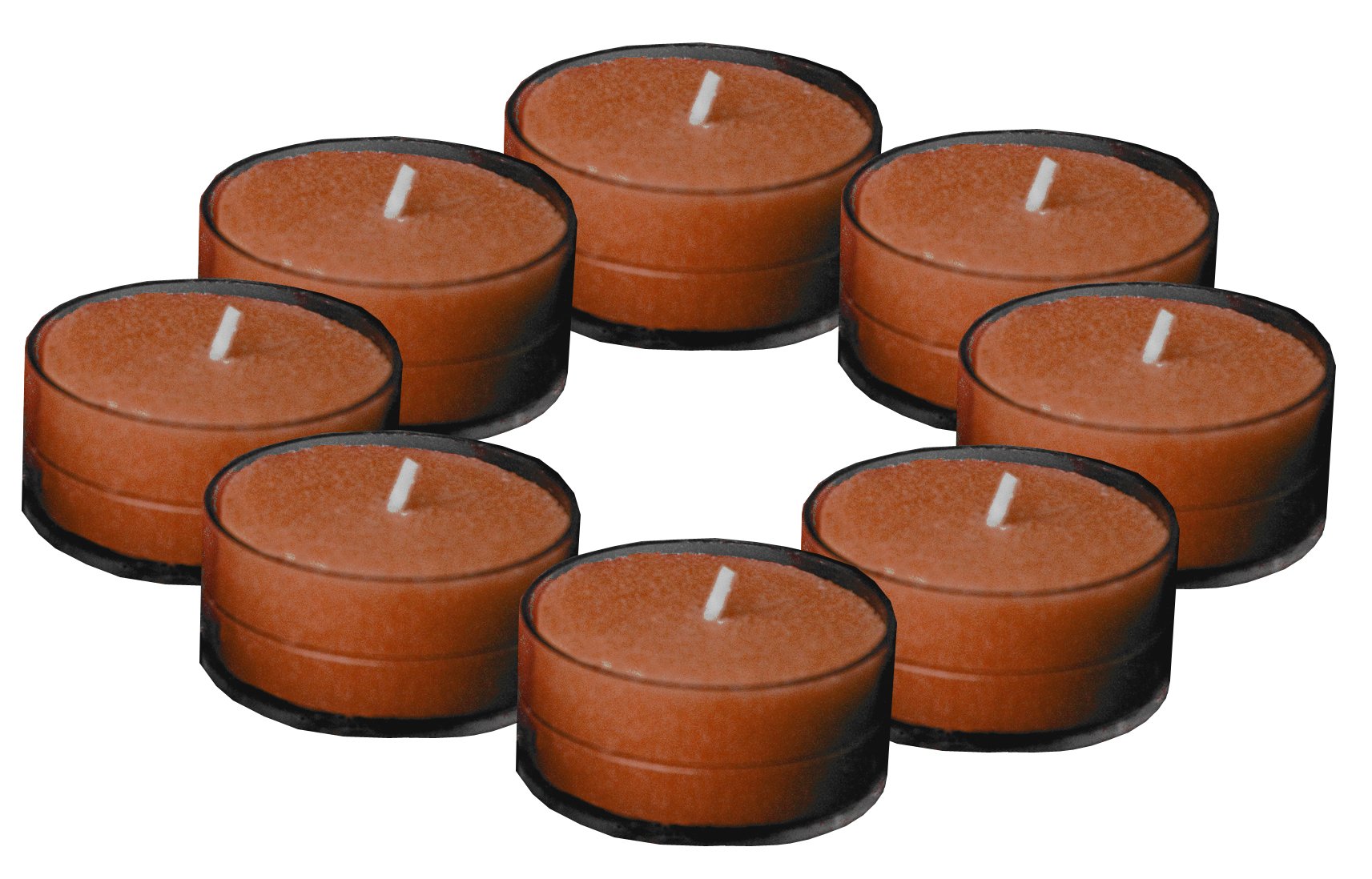 Root Scented Tealight Candles, Mulled Cider, Box of 8