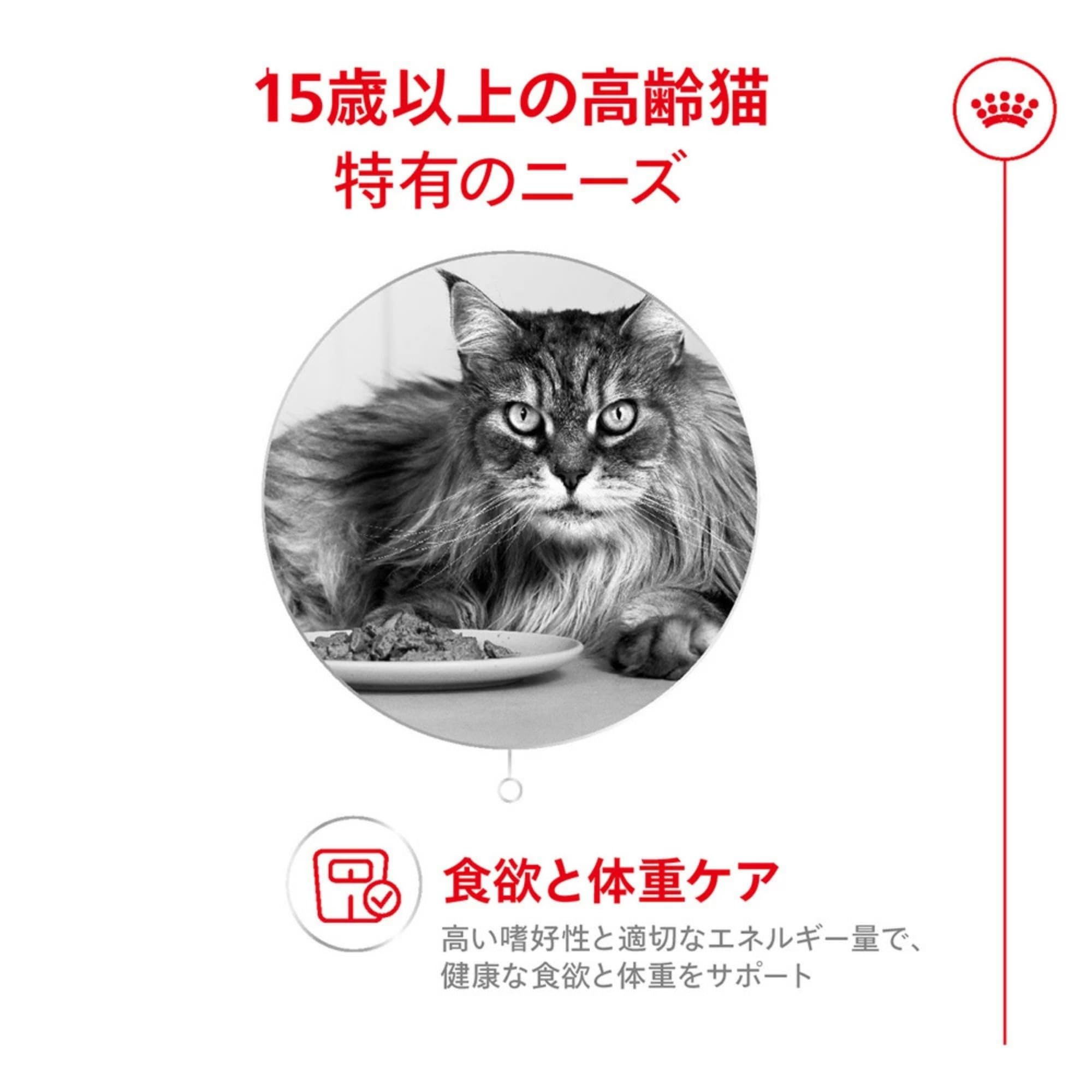 Amazon | ロイヤルカナン エイジング 15+ 2kg 高齢猫用 15歳以上