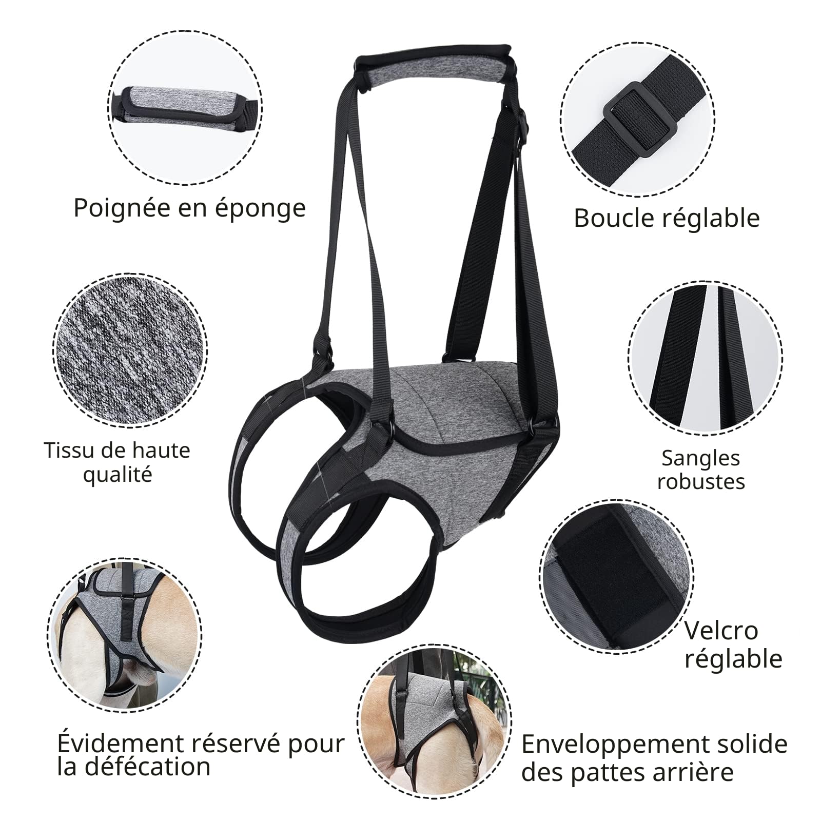 Dotoner Harnais de Levage pour Chien – Harnais de Soutien pour Pattes arrière – Écharpe de Soutien Souple pour Chiens de Petite, Moyenne et Grande Taille blessée