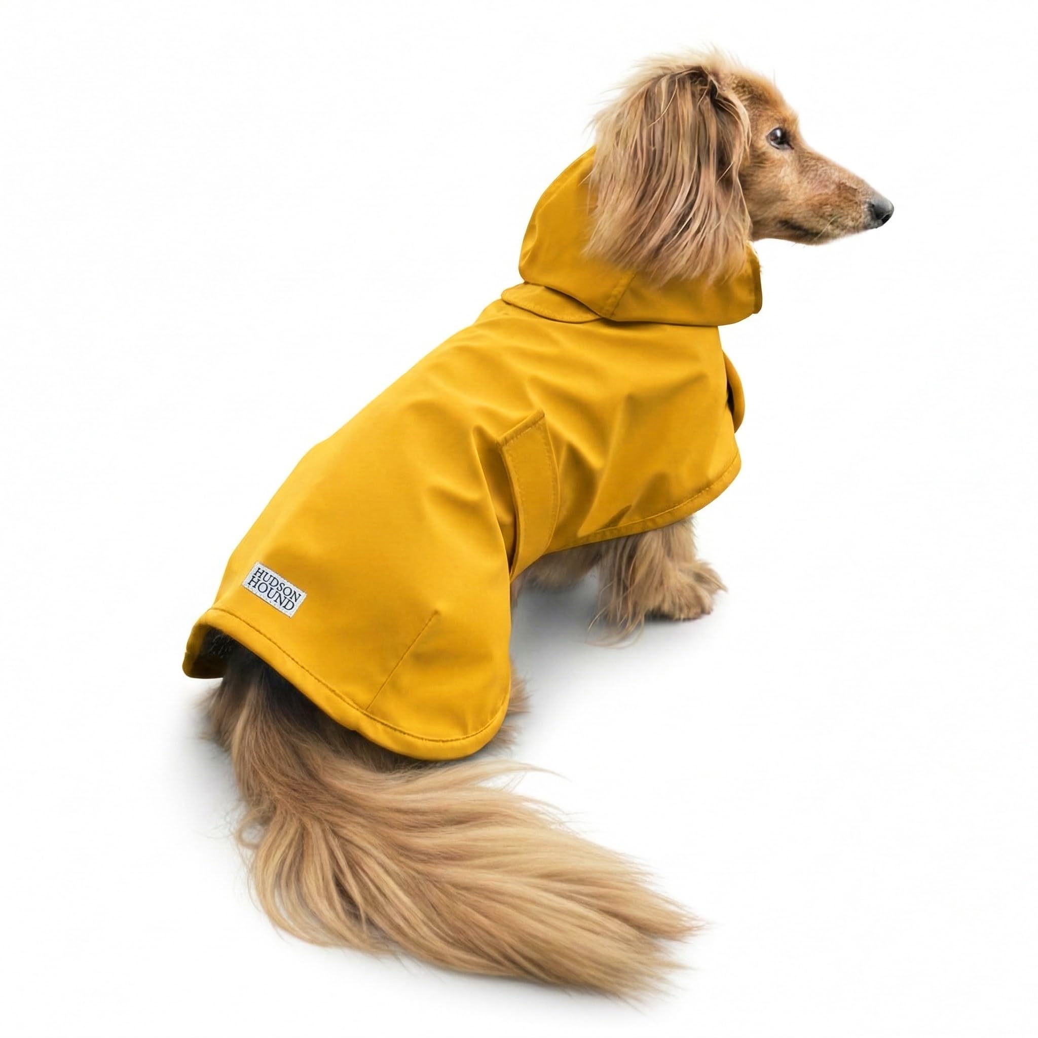 Hudson Hound Dachshund Raincoat, Long Dog Coat, Sausage Dog Rain Jacket, Doxie Rain Jacket (Small, Classic Yellow)