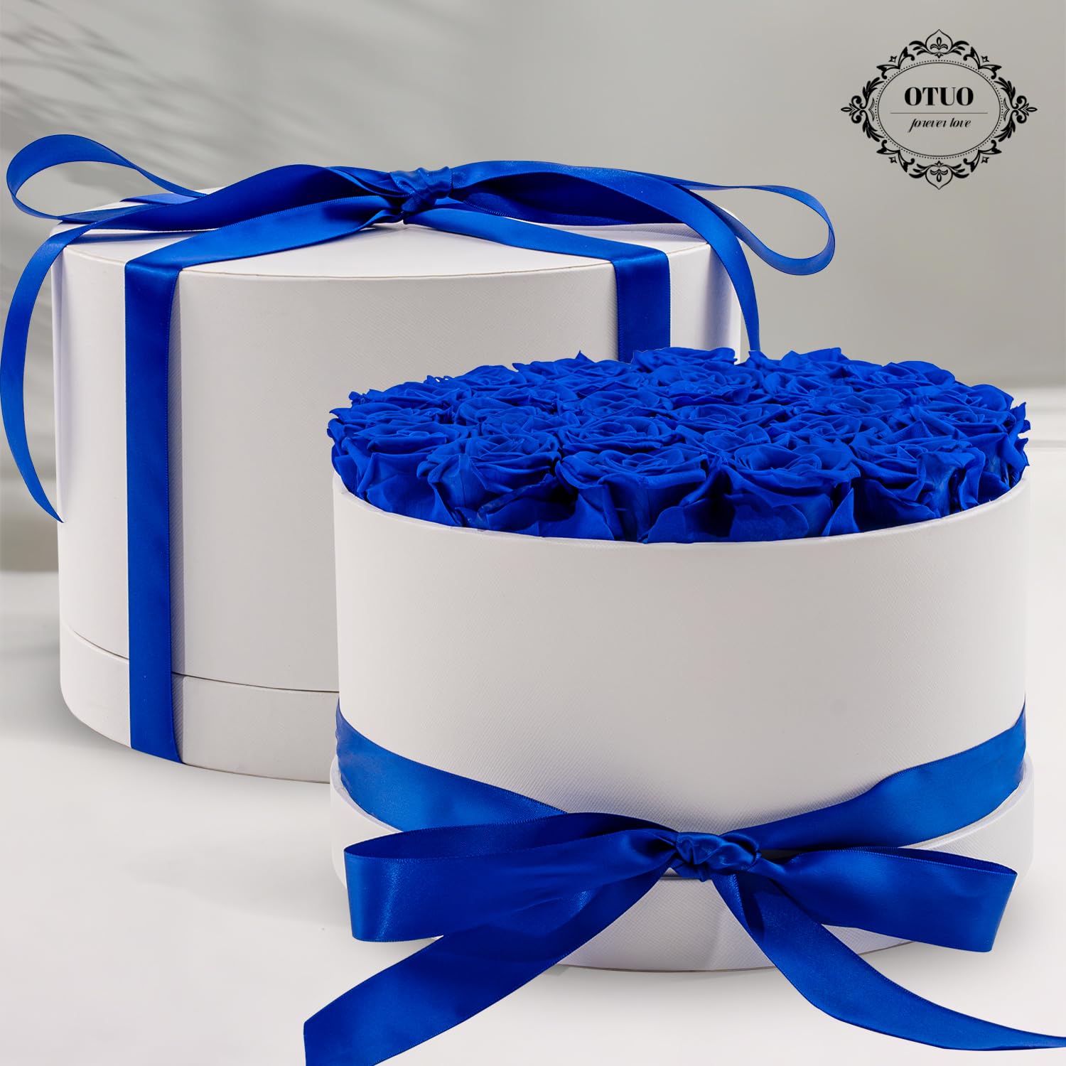 Lot de 27 roses préservées dans une boîte – Fleurs éternelles pour livraison Prime, cadeaux d'anniversaire pour maman, épouse, anniversaire de mariage, cadeau d'anniversaire pour femme, bleu