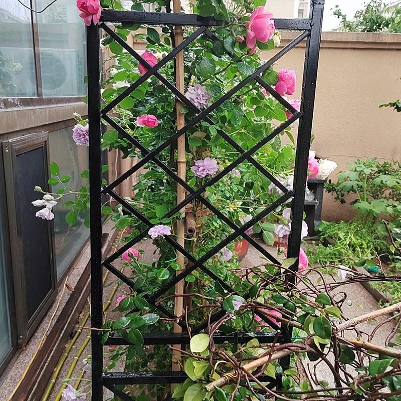 Arche de jardin en métal robuste pour plantes grimpantes Support en fer Disponible en 140, 200, 260, 310, 350 cm de largeur, couleur noire, 330 cm x 250 cm