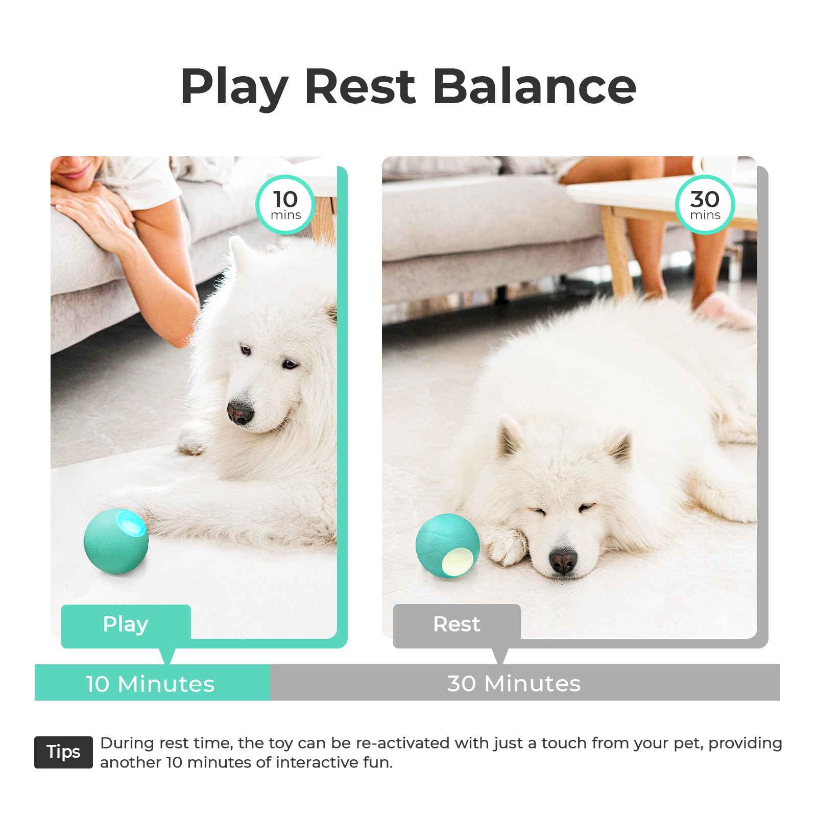 Juguetes interactivos para perros, Wicked Ball PE, 3 modos interactivos, juguete de goma mejorado con luces LED para perros medianos y grandes, juguete de estimulación de perros activado por