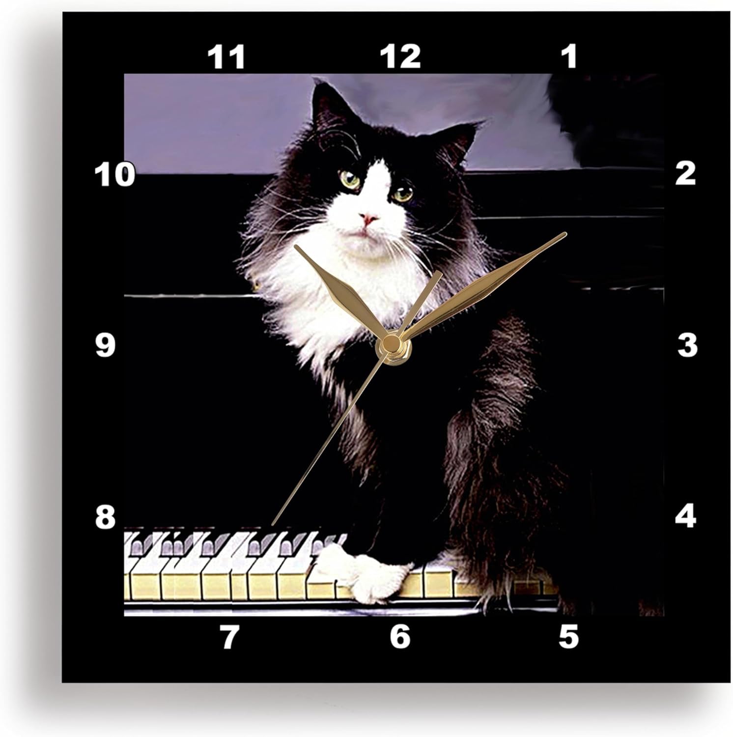 3dRose Wall Clock Silent - 15 inch - Tuxedo Cat - Cats