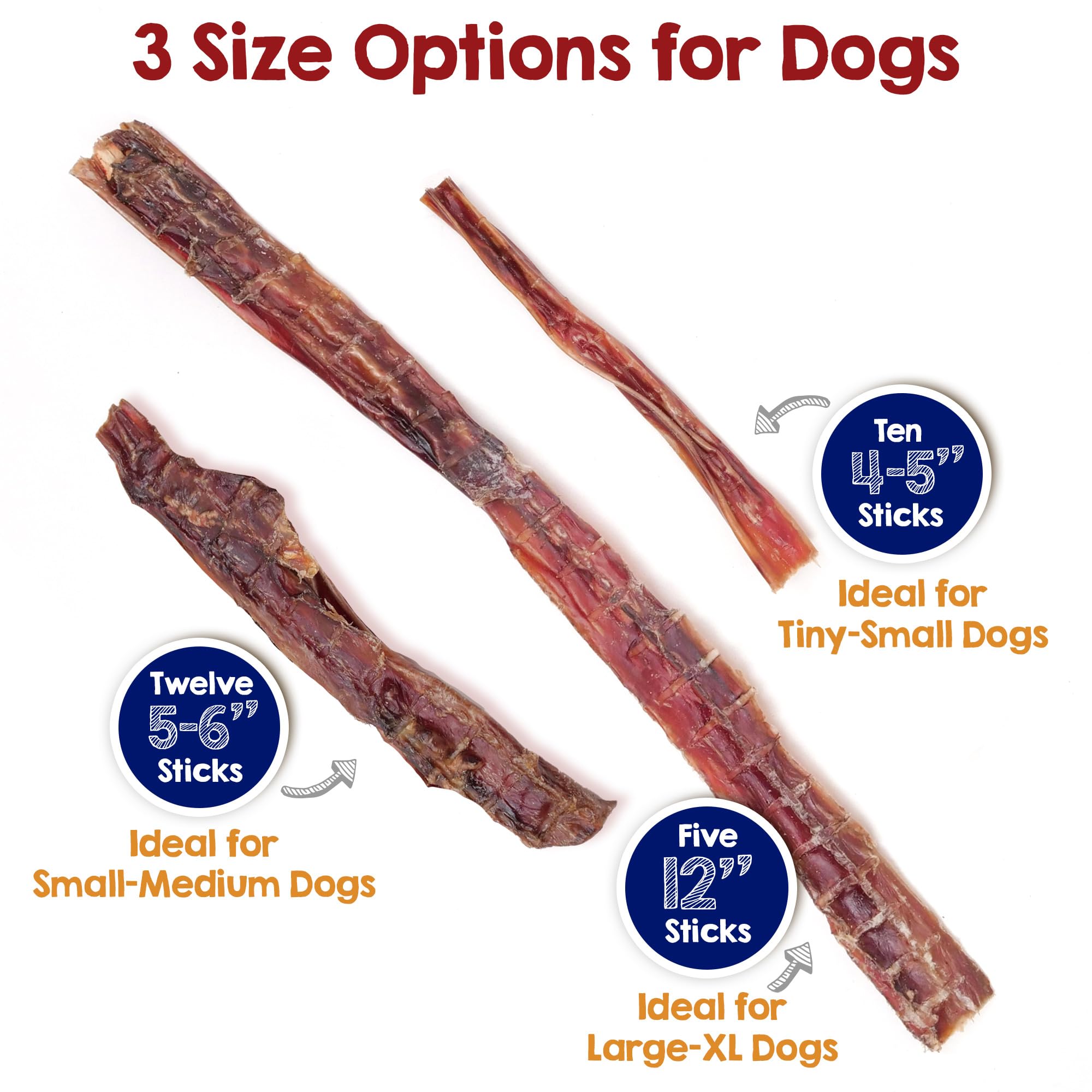 Riley's Steer Bully Sticks for Large to XL Dog Breeds - Odor Free, Single Ingredient Treat - Easily Digestible, 100% Beef Pizzle Sticks for Dogs - 12", 5ct: Large to XL Dogs (Five 12" Sticks) 8 Ounce (Pack of 2)