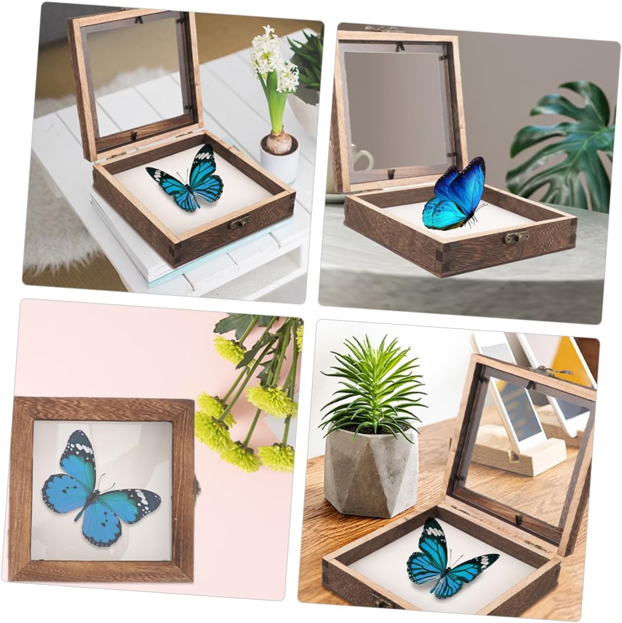 PRETYZOOM 5pcs Wooden Insect Specimen Case Butterflies Shadow Box Display Holder for Collectibles