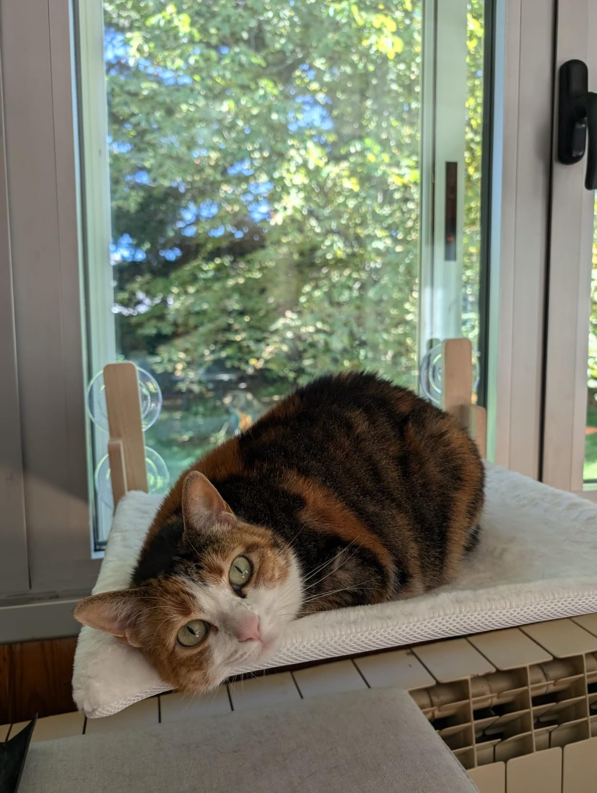 Hamaca para Gato de Ventana - Blanco